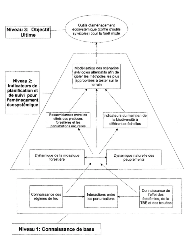 Figure  1.  Modelisation  d'une  approche  ecosystemique  de  gestion  du  territoire
