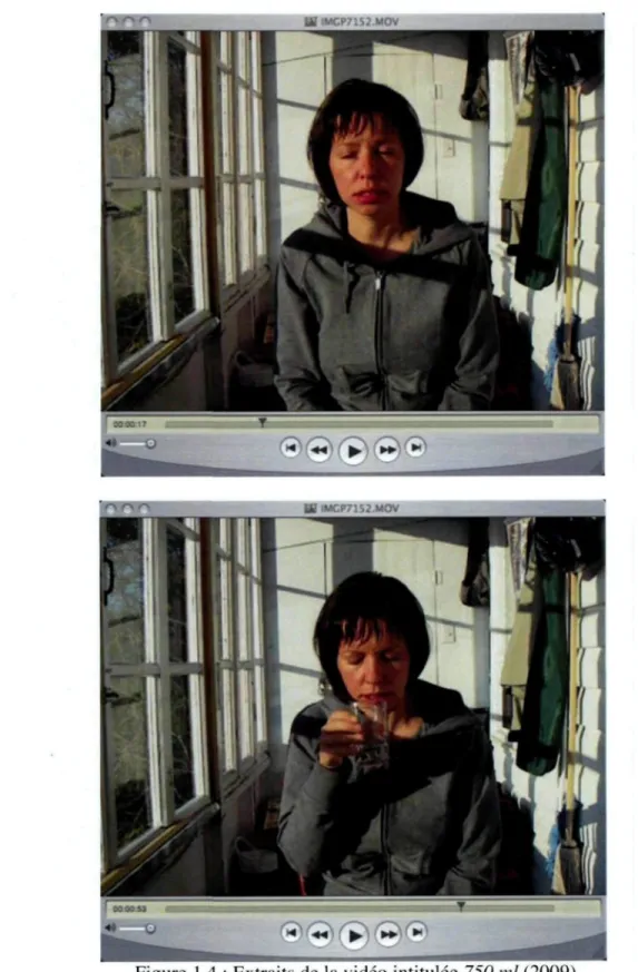 Figure 1.4 : Extraits de la vidéo intitulée 750 ml (2009).