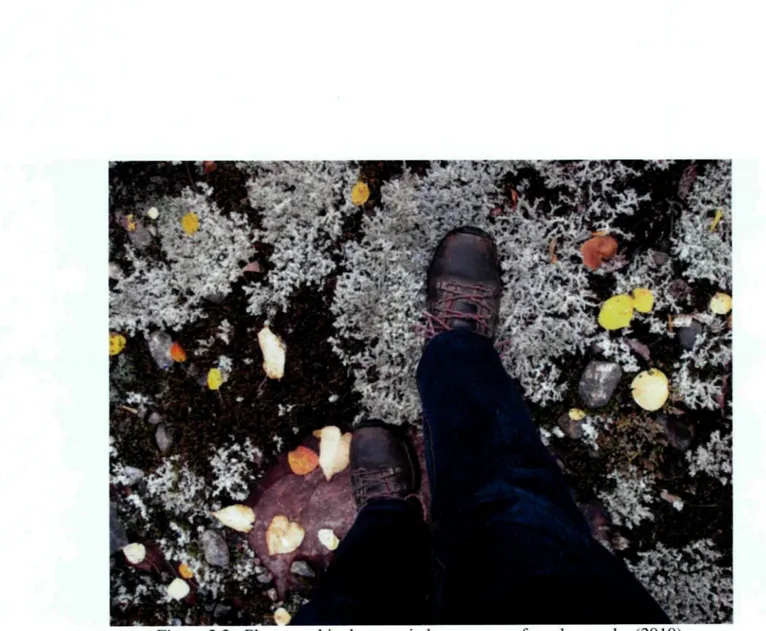 Figure 2.2 : Photographie de mes pieds sur une surface de marche (2010).