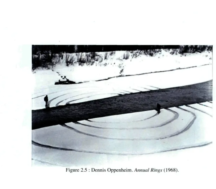 Figure 2.5 : Dennis Oppenheim. Annual Rings (1968).