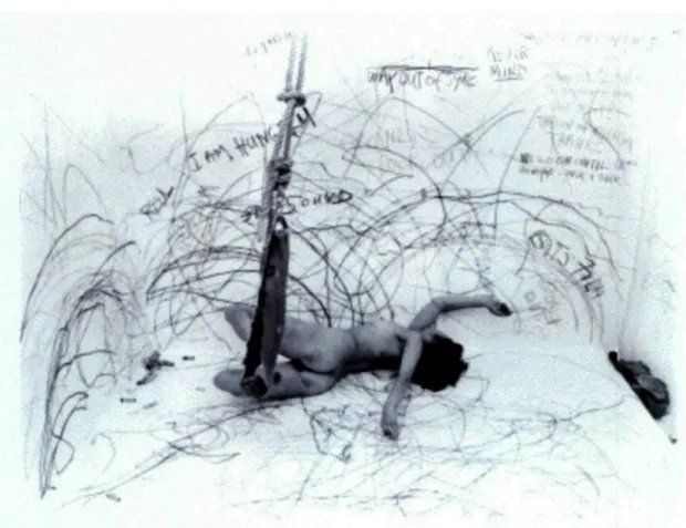 Figure 2.6 : Carolee Schneemann. Up and Including her limits. (1973-76).