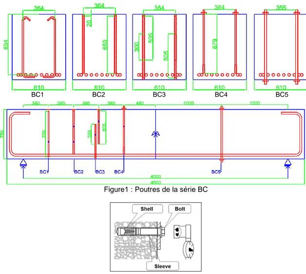 Figure 2: Ancrage HSLG utilise pour la poutre BC4 