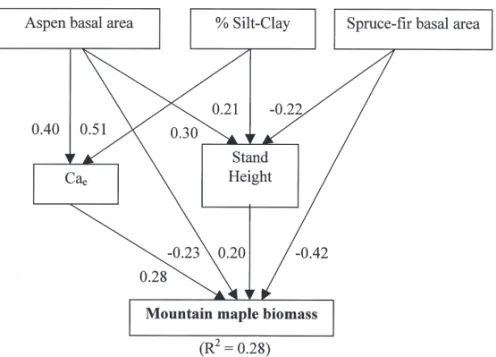 Fig. 5. Path analysis performed on aspen basal area (BAa), spruce-fi r basal area  (BAsf), silt-clay percent (Clay), stand height (Height), exchangeable calcium  (Ca) and mountain maple biomass (maple)