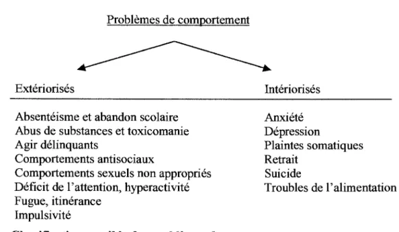 Figure 1 : Classification possible des problèmes de comportement  Source: Saint-Jacques et al