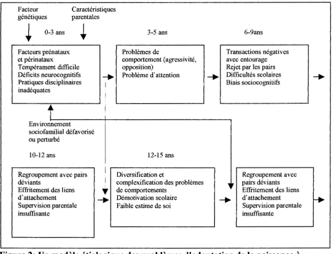 Figure 2: Un modèle étiologique des problèmes d'adaptation de la naissance à  l'adolescence (version linéaire schématisée) 