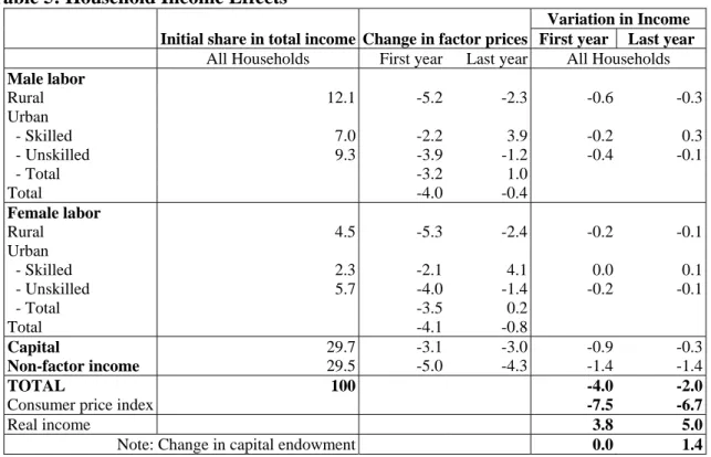 Table 5: Household Income Effects 