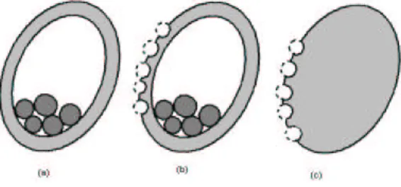 Figure 2. Evolution de la bourse de ´ calculi