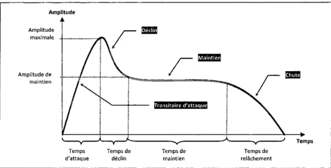 Figure 3.2 Détails de l'enveloppe ADSR (Attack, Decay, Sustain, Release).