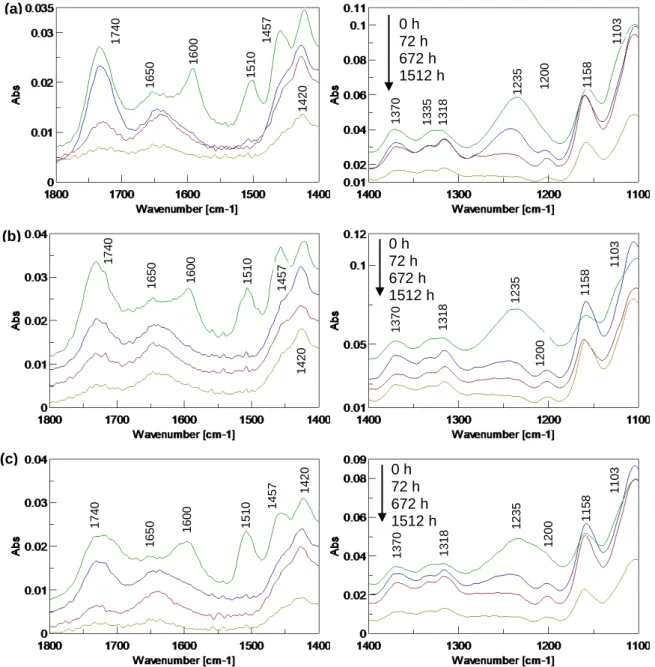 Fig. 7 FTIR spectra of heat-treated birch during artificial weathering: (a) 195°C, (b) 205°C, (c) 215°C 1235120011581370131811031740165014201510145716001235120011581370131811031740165014201510145716001235120011581370131811031740165014201510145716000 h 72 h