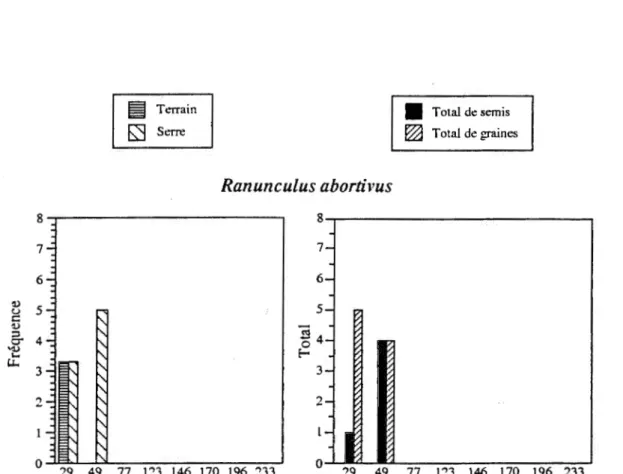 Figure 2.9. Fréquences moyennes d'apparition sur  le  terrain  et en serre (graphique  de gauche)  ainsi  que  le  nombre  total  de  semis  et  de  graines  (graphique de  droite)  pour Ranunculus abonivus en fonction du  temps écoulé depuis le dernier fe