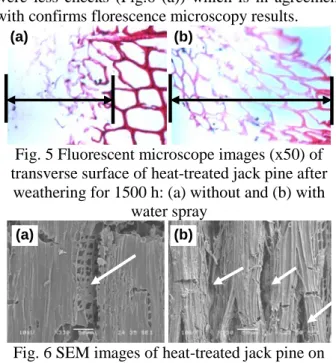 Fig. 4 Wettability of heat-treated jack pine surface  during artificial weathering under different  condition: (a) without and (b) with water spray 