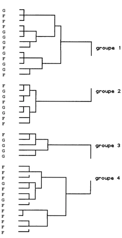 Figure  1:  Dendogrammes  des  regroupements  d'élèves  sur la  base  des  résultats  aux  quatre  dimensions  du  questionnaire  d'auto-évaluation  de  soi  (G=garçon; 
