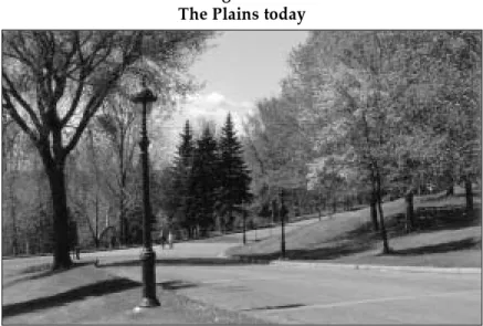 Figure 16 The Plains today