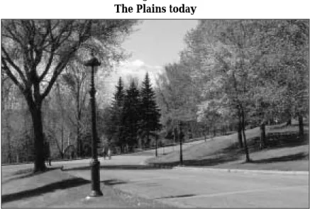 Figure 16 The Plains today