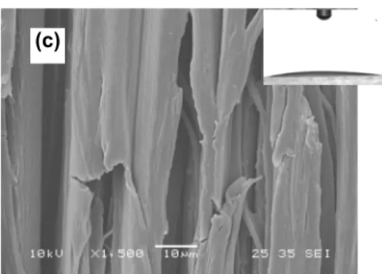 Fig.  3  SEM   image   and   initial   contact   angle   of   heat- heat-treated jack pine surface: (a) unheat-treated before weathering, (b)   treated   at   210°C   before   weathering,   (c)    heat-treated at 210°C after weathering of 1512 h