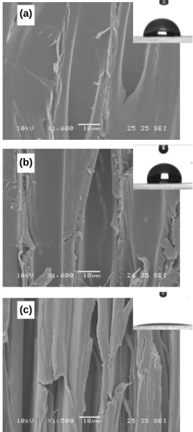 Fig.  3  SEM image and initial contact angle of  heat-treated jack pine surface: (a) untreated before  weathering, (b) heat-treated at 210°C before weathering, (c)  heat-treated at 210°C after weathering of 1512 h 
