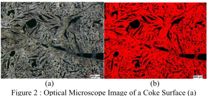 Figure 1: SEM Image of Coke Surface