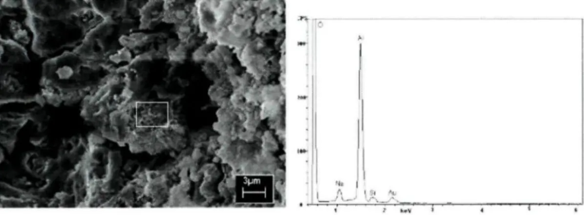 Figure 2-12: EDX Analysis Results for Needle-like Structure of the Reaction Product Formed at Refractory/Aluminum Alloy Interface [72]