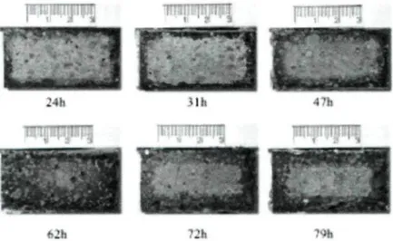Figure 2-17: Cross-section of Refractory Samples after Different Times of Corrosion [65]