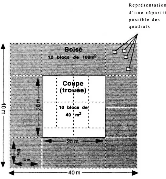 Fig.  2.  Schéma  du  dispositif expérimental  installé sur  chacun  des  trois  sites