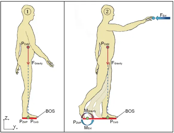 Figure 2.3 Zero moment point representation with and without  external loads when standing 