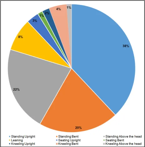 Figure 3.2 Distribution by grouping of postures 