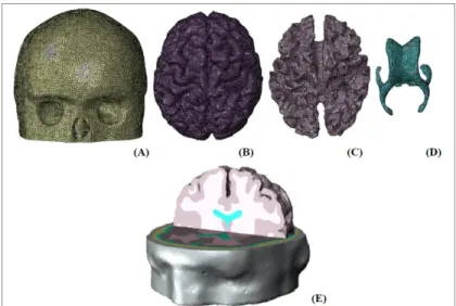 Tableau 3.7 Propriétés mécaniques des substances blanche et grise  Tiré de Garcia-Gonzalez et al