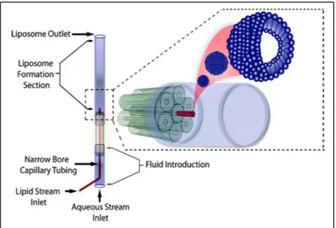 Figure 1.4 Schematic of 3D-MHF liposome formation device  Taken from Hood et al. (2014, p