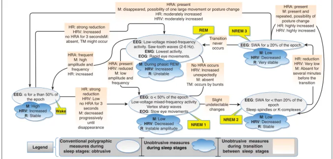 Figure 1.1 Physiological changes during sleep stages in accordance with the AASM
