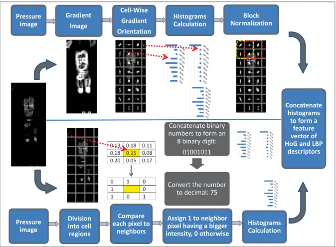 Figure 2.2 Feature extraction work-ﬂow diagram showing HoG and LBP feature vectors extraction to decode shape and patterns