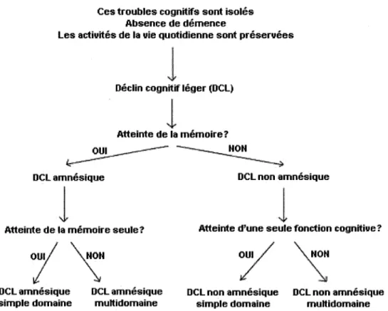 Figure 1. Les types d'ACL selon Winblad et al., 2004 (traduction francophone).