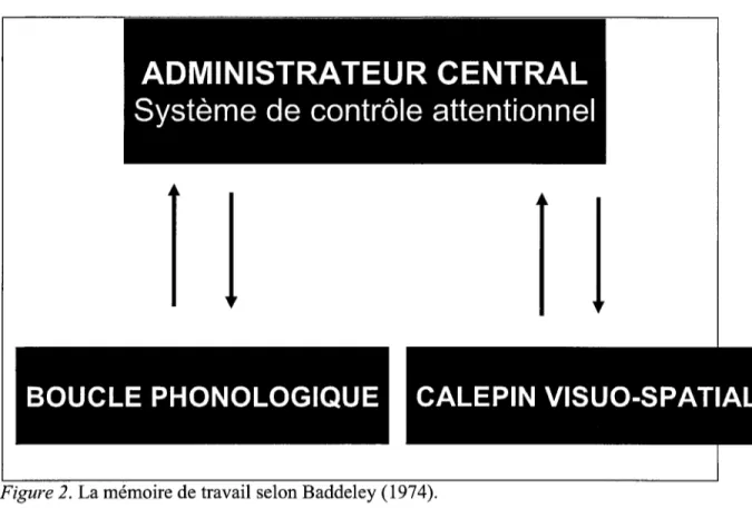 Figure 2. La mémoire de travail selon Baddeley (1974).