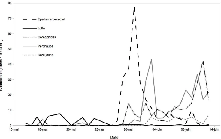 Figure 2: Abondance moyenne des larves (larves ∙ 1000 m -3 ) pour les principales espèces de poissons  capturées  au  lac  Saint-Jean  lors  du  printemps  2013