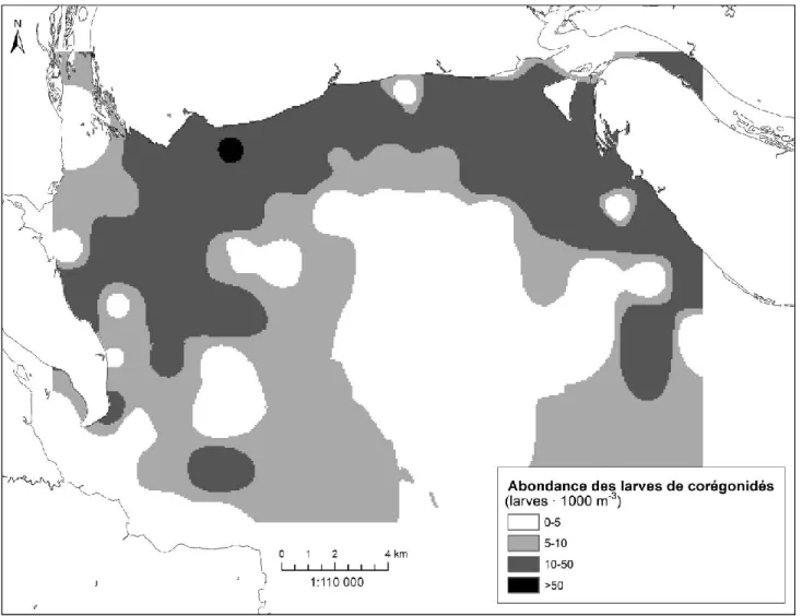 Figure 3: Distribution interpolée de l'abondance cumulée des larves de corégonidés dans le nord-ouest  du lac Saint-Jean au printemps 2013 (larves ∙ 1000 m -3 )