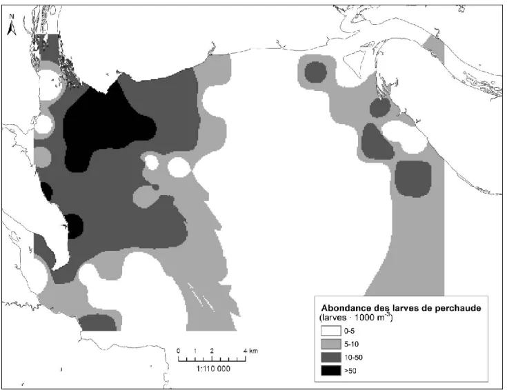 Figure 4: Distribution interpolée de l'abondance cumulée des larves de perchaude dans le nord-ouest du  lac Saint-Jean au printemps 2013 (larves ∙ 1000 m -3 )