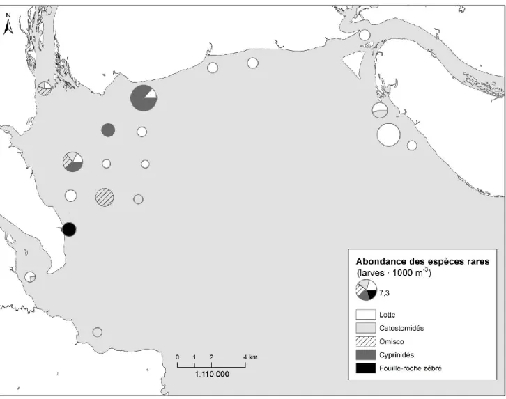 Figure 6: Distribution de l'abondance cumulée des larves des espèces « rares » ou peu abondantes dans  le nord-ouest du lac Saint-Jean pendant l’échantillonnage du printemps 2013 (larves ∙ 1000 m -3 )