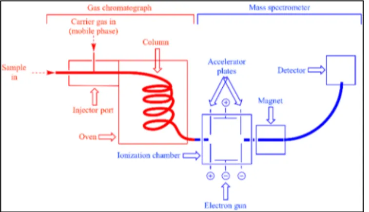 Figure 1.8 Gas Chromatography Sensors  Taken from Jimenez, Riu, et Rius (2007) 