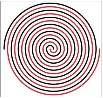 Figure 1.3 Two intertwined spirals representing the arrangement of data from