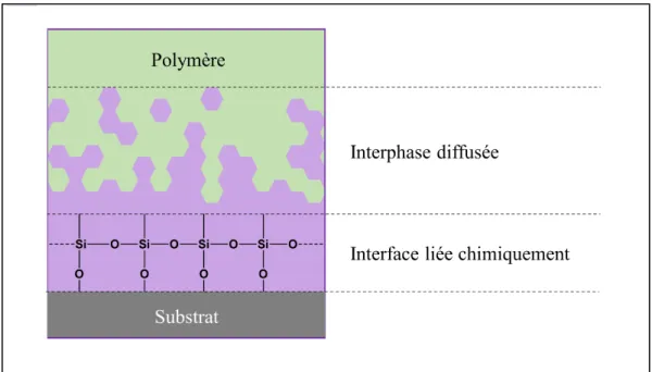 Figure 1.7 Mécanisme d’interpénétration du silane et de la matrice  thermoplastique 