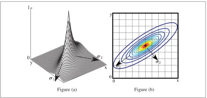 Figure 2.7 (a) Inﬂuence of the distributing point s, (b) isocontours of the distributing point inﬂuence
