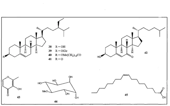 Figure 6 - Stérols et autres molécules isolées du genre Abies.