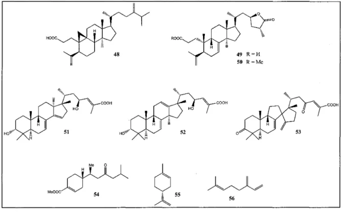 Figure 8 — Molécules isolées du genre Abies présentant une activité biologique.