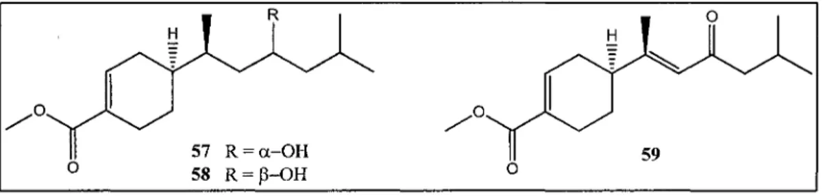 Figure 9 - Juvabiol (57), isojuvabiol (58) et déhydrojuvabione (59).