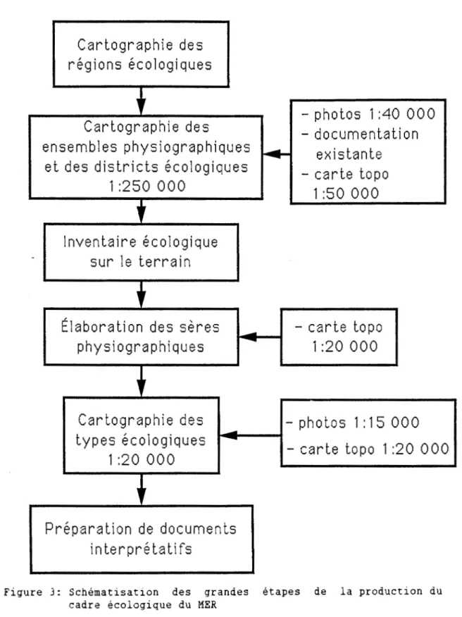 Figure  3:  Schématisation  des  grandes  étapes  de  la  production  du  cadre  écologique  du  MER 