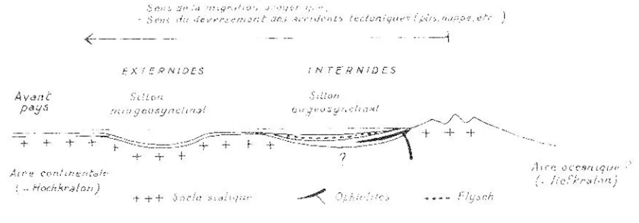 Figure 9. Le schéma ultra classique du « couple géosynclinal » dû à Jean Aubouin, publié dès l’année 1959 et en quelque sorte « immortalisé » dans son ouvrage de 1965