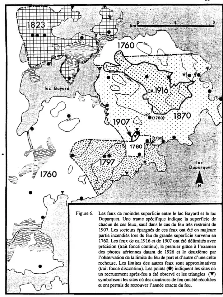 Figure 6.  Les  feux  de moindre superficie entre le  lac Bayard et le  lac  Duparquet