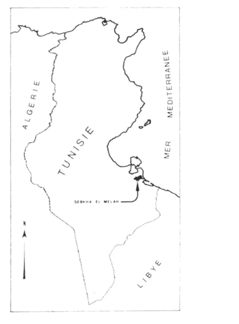 Fig. 1. - Localisation de la Sebkha el Melah.
