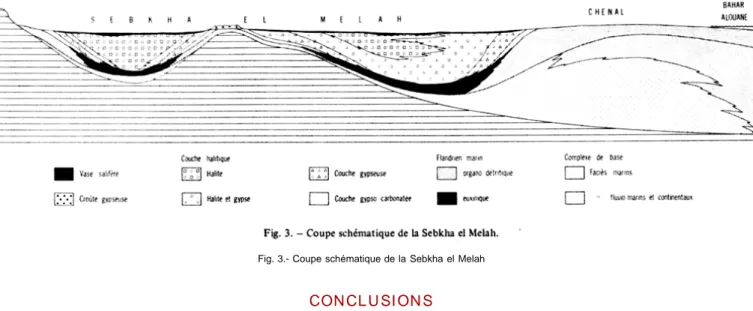Fig. 3.- Coupe schématique de la Sebkha el Melah