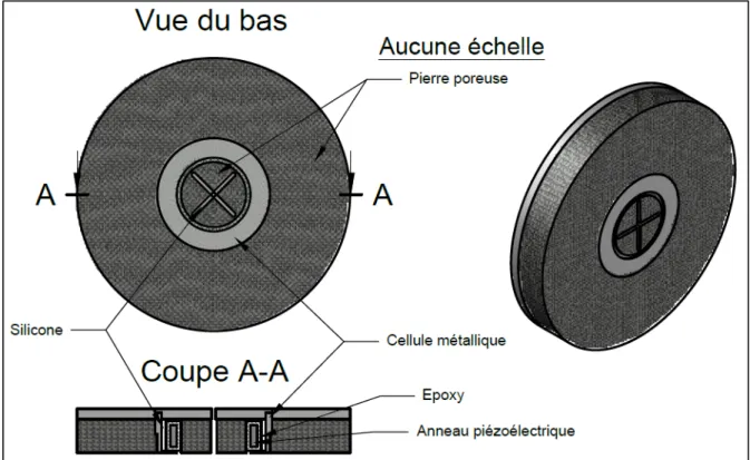 Figure 1.12 Schéma d'un assemblage d’anneau P-RAT encapsulé 