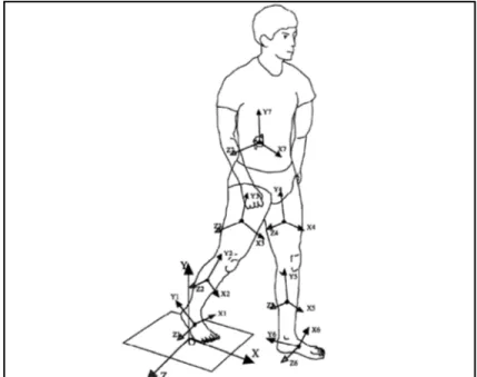 Figure 1.5 Représentation du repère global et des BAF   pour chaque segment  